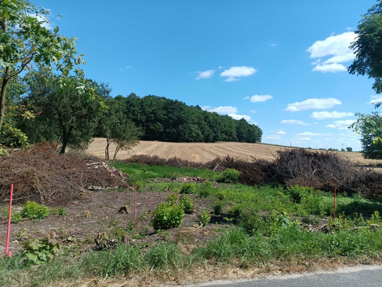 Działka budowlana Skała. Zdjęcie 3