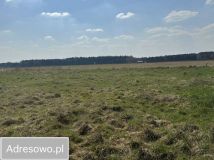 Działka budowlana Radzewo, ul. Żytnia. Zdjęcie 4