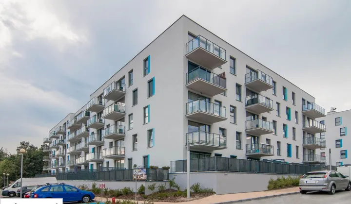 Mieszkanie 2-pokojowe Zielona Góra Centrum, ul. Emilii Plater