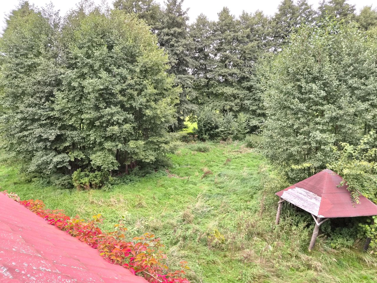 siedlisko, 4 pokoje Prosino. Zdjęcie 38