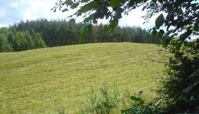 Działka siedliskowa Pupki, ul. Bielika. Zdjęcie 2