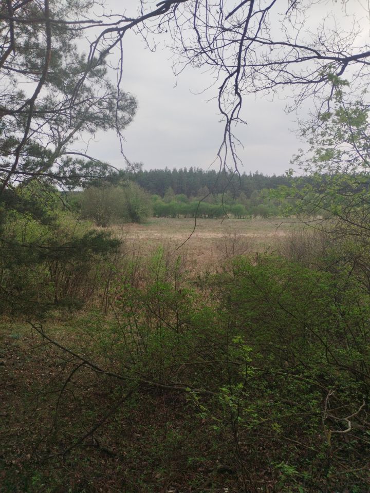 Działka inna Biała. Zdjęcie 4