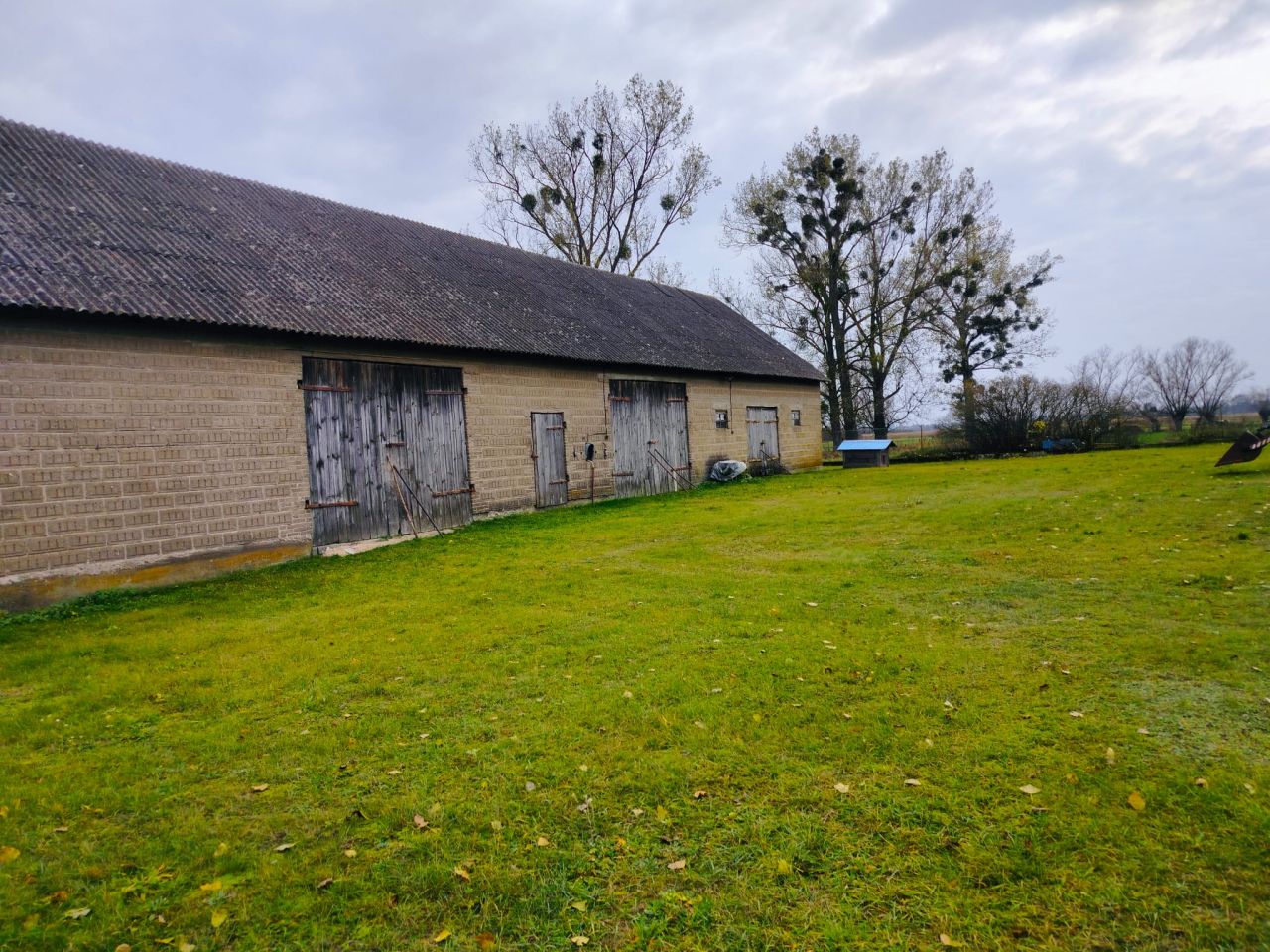 gospodarstwo, 3 pokoje Białaszewo-Kolonia. Zdjęcie 5