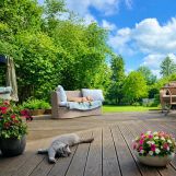 dom wolnostojący, 4 pokoje Kijany. Zdjęcie 4