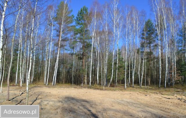 Działka budowlana Osęczyzna. Zdjęcie 1