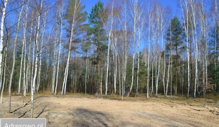 Działka budowlana Osęczyzna