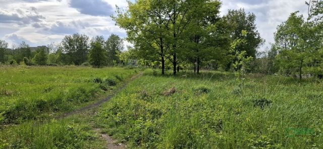 Działka inna Sosnowiec Zagórze, ul. Teofila Lenartowicza. Zdjęcie 10