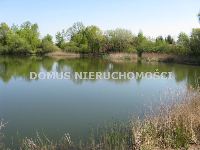 Działka rolna Kutno. Zdjęcie 6