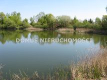 Działka rolna Kutno. Zdjęcie 4