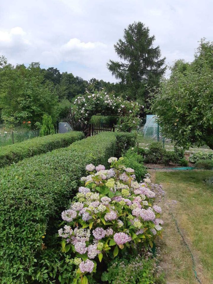 Działka rod Gdynia Mały Kack, ul. Witolda. Zdjęcie 3