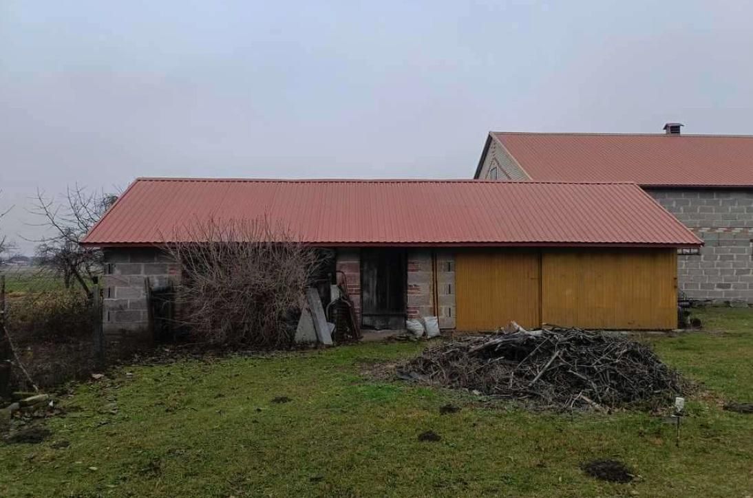 Działka siedliskowa Bachus. Zdjęcie 7