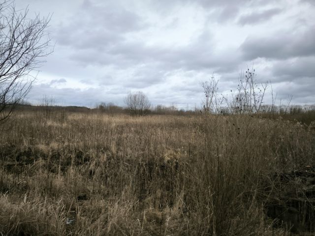 Działka inwestycyjna Baniocha, ul. Lipowa. Zdjęcie 1
