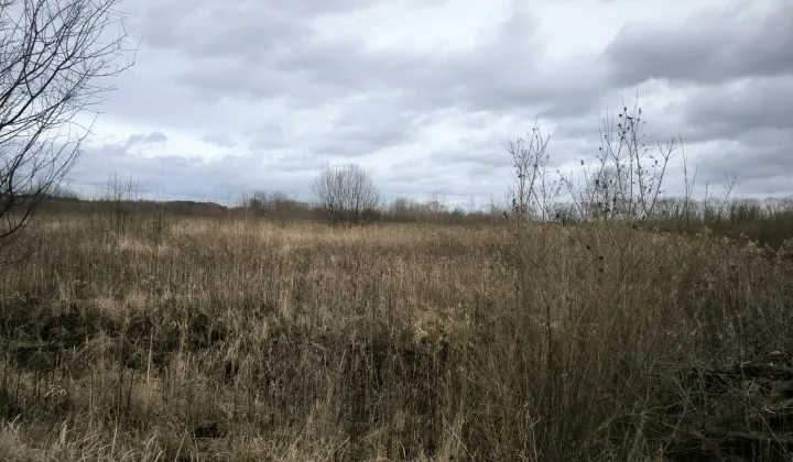 Działka inwestycyjna Baniocha, ul. Lipowa