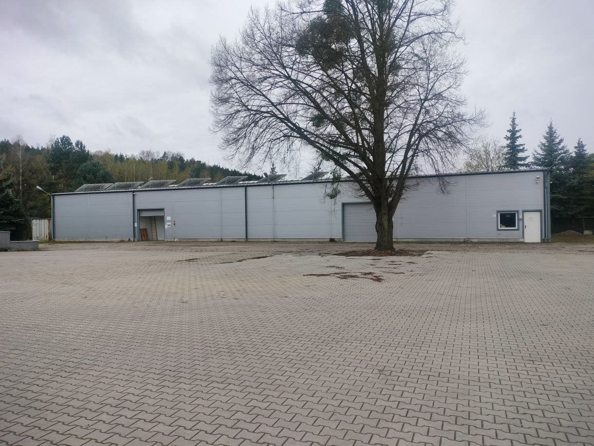 Hala/magazyn Chełmno