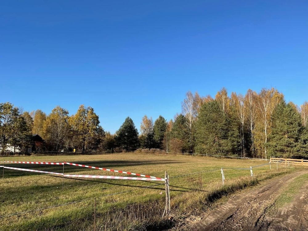 Działka siedliskowa Zasady. Zdjęcie 3