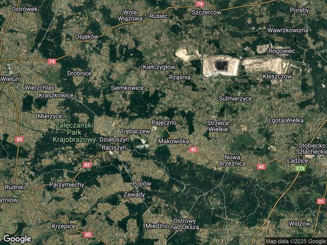 Działka rod Pajęczno. Zdjęcie 1