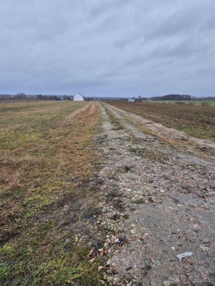 Działka rolna Wola Prażmowska, ul. Południowa. Zdjęcie 4