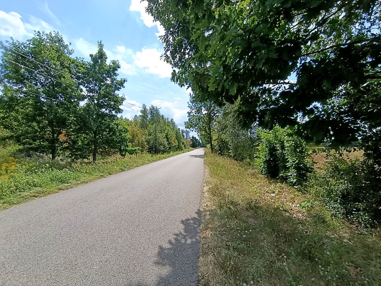 Działka rolno-budowlana Jaźwie, ul. Rodziny Majewskich. Zdjęcie 2