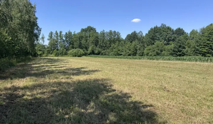 Działka budowlana Kupienin