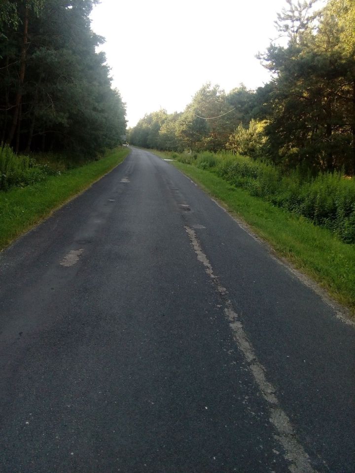 Działka Adamów. Zdjęcie 4