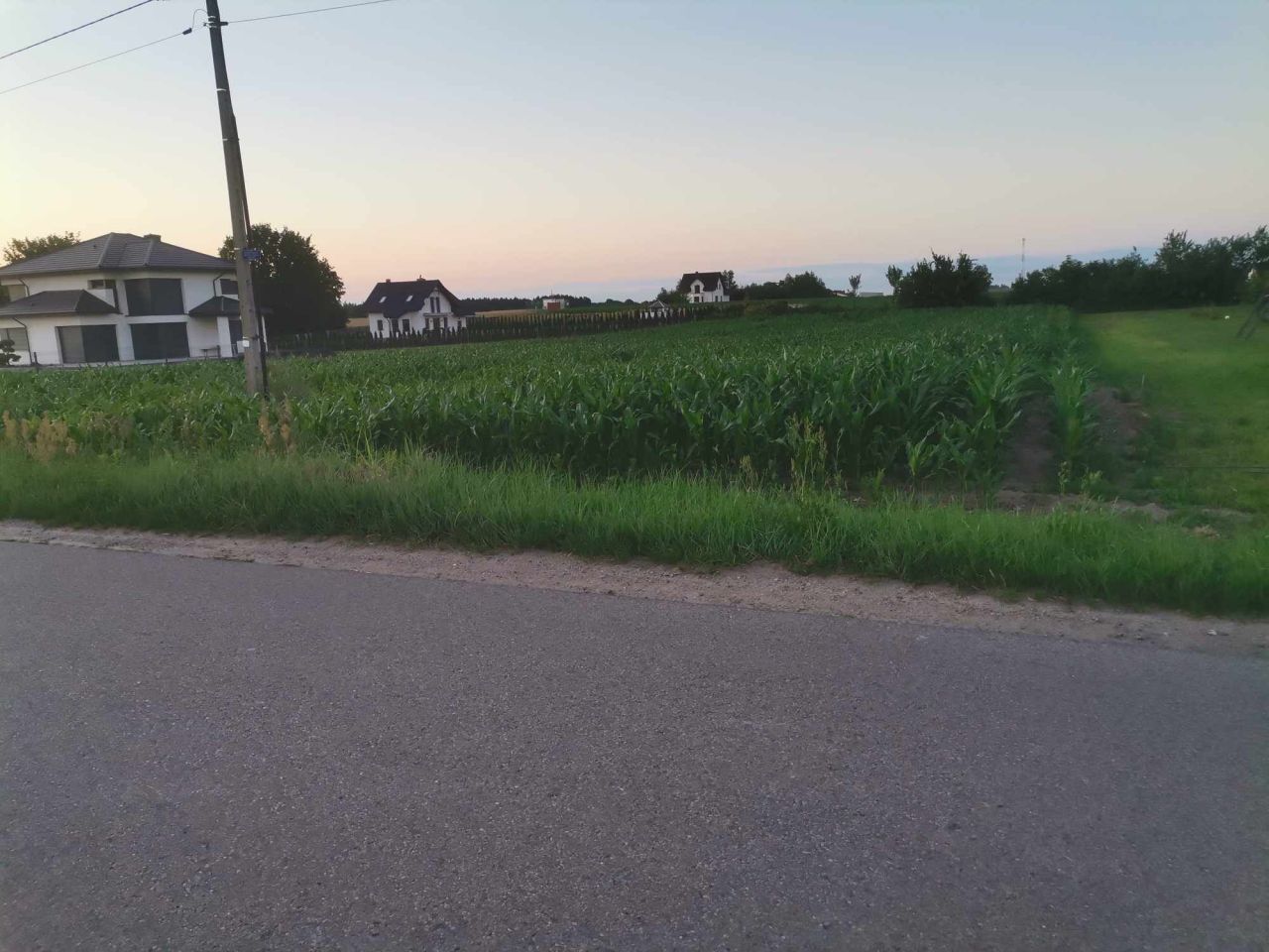 Działka rolno-budowlana Gorczenica. Zdjęcie 2