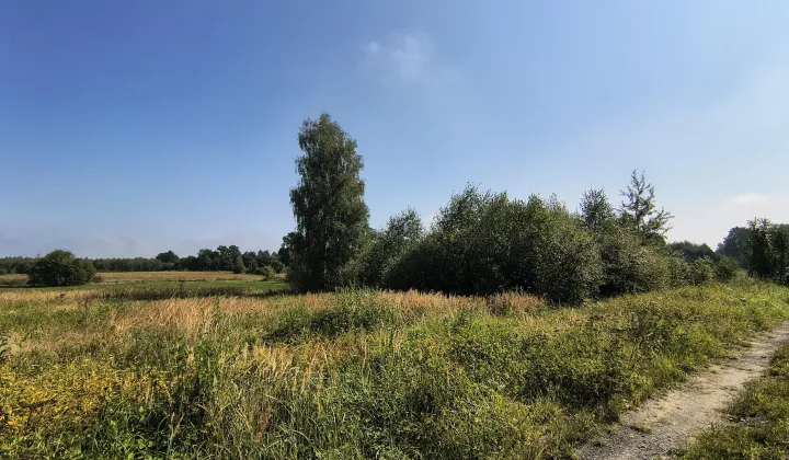 Działka budowlana Przybymierz, ul. Leśna