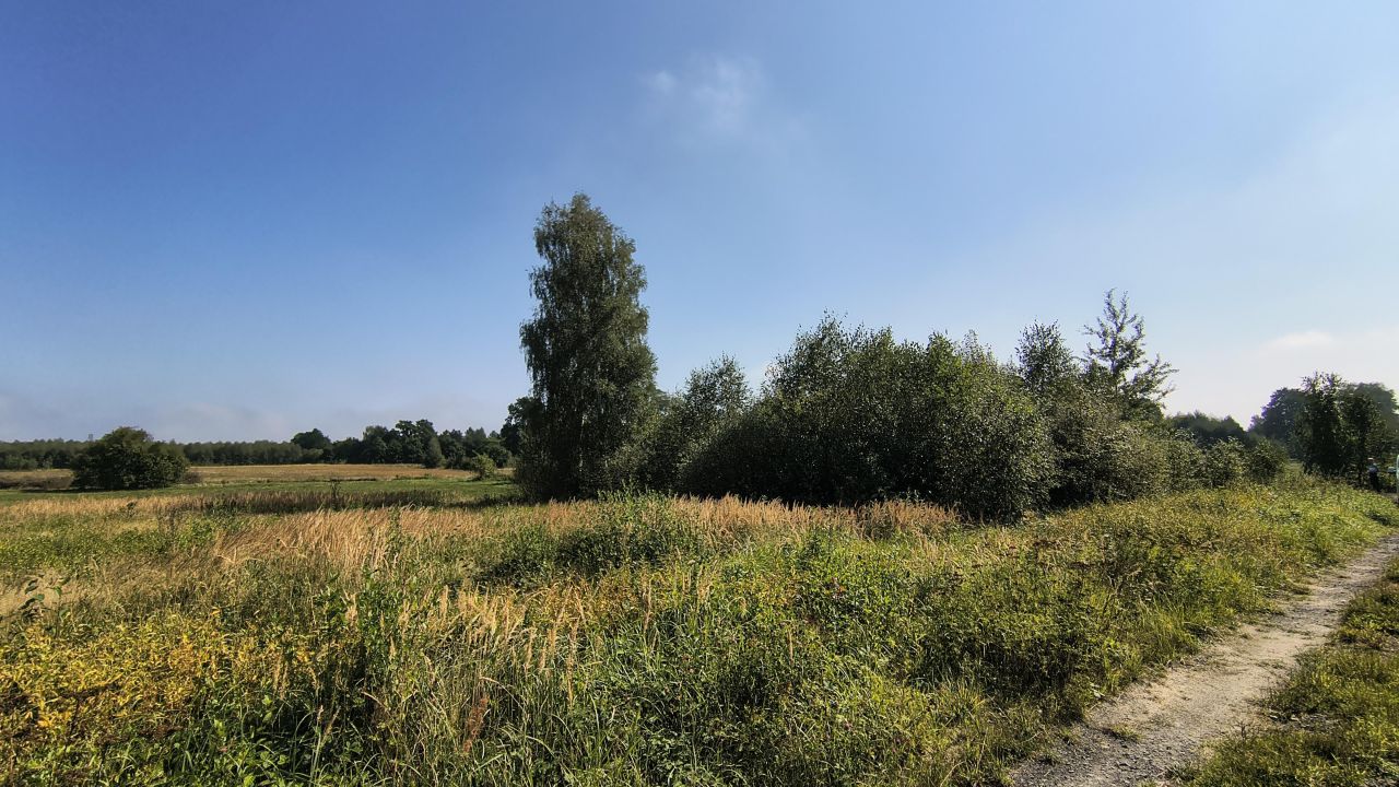 Działka budowlana Przybymierz, ul. Leśna