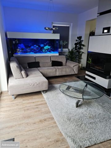 bliźniak, 4 pokoje Pucice, ul. Goleniowska. Zdjęcie 1