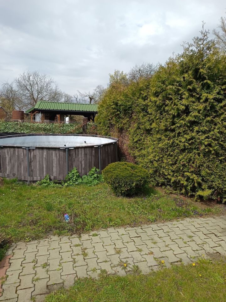 Działka rod Gliwice Sośnica, ul. Sportowa. Zdjęcie 8