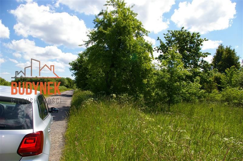Działka rolna Jeżyce. Zdjęcie 4