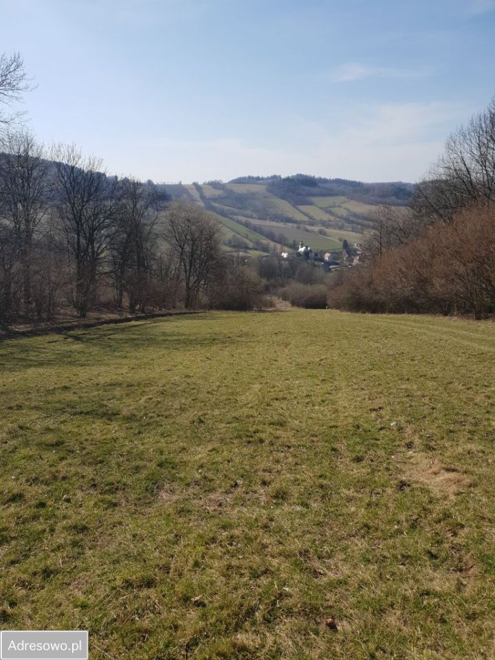 Działka inwestycyjna Konradów. Zdjęcie 12