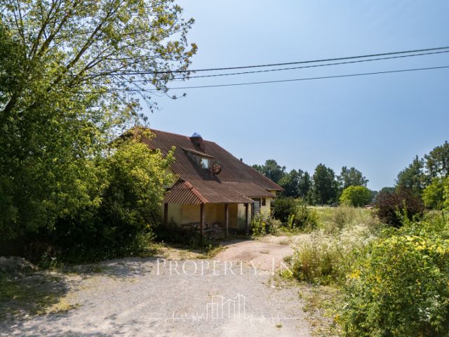 Działka inwestycyjna Skowieszynek. Zdjęcie 7