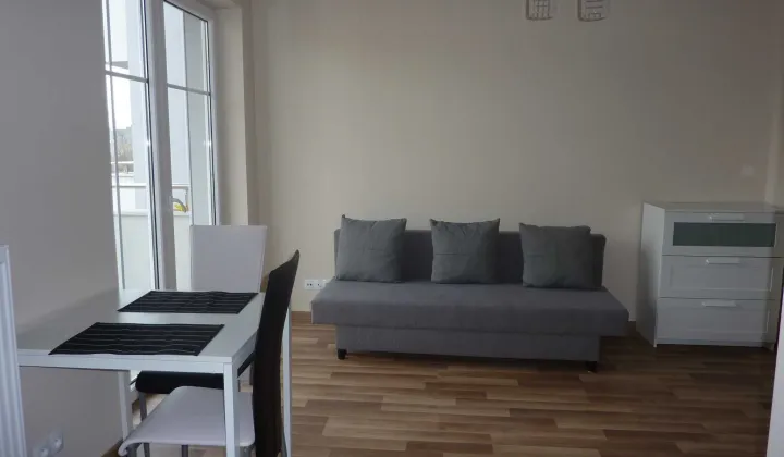 Mieszkanie 1-pokojowe Łódź Śródmieście