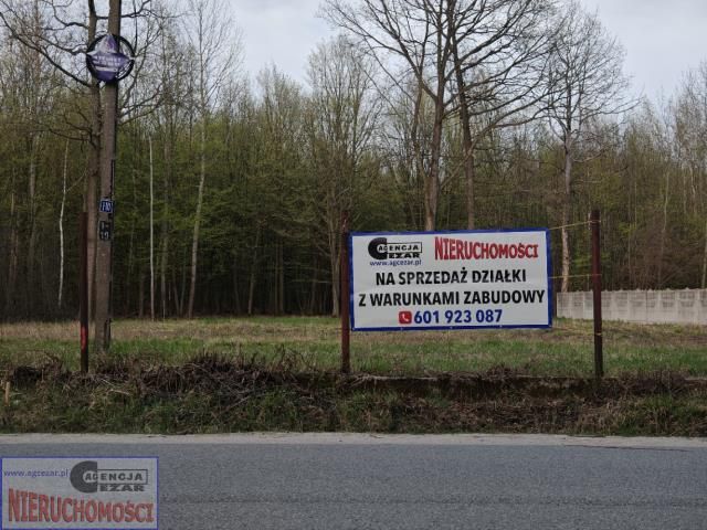 Działka budowlana Anielew, ul. Wojska Polskiego. Zdjęcie 10