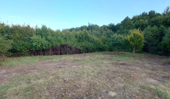 Działka budowlana Kolbudy, ul. Porzeczkowa