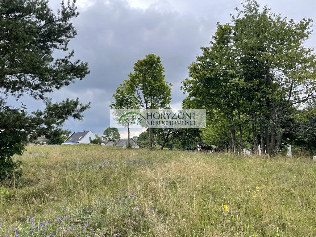 Działka Nowa Wieś Przywidzka. Zdjęcie 1