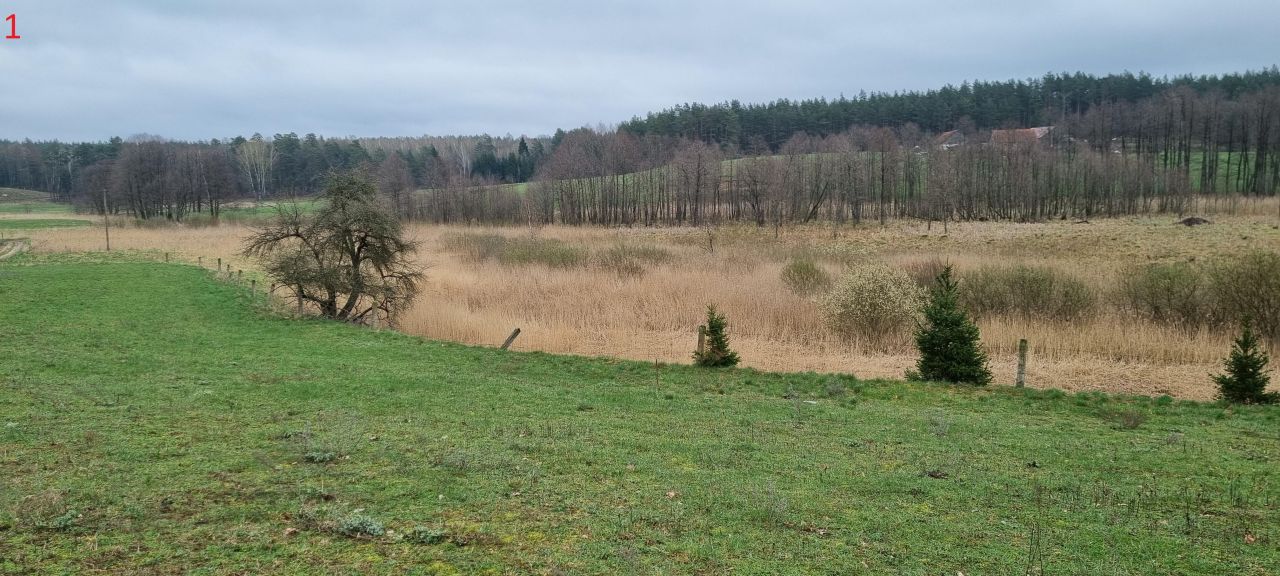 Działka rolna Piecki Piersławek. Zdjęcie 8