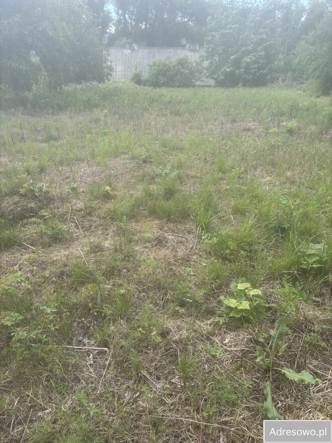 Działka rolno-budowlana Nasiegniewo. Zdjęcie 9