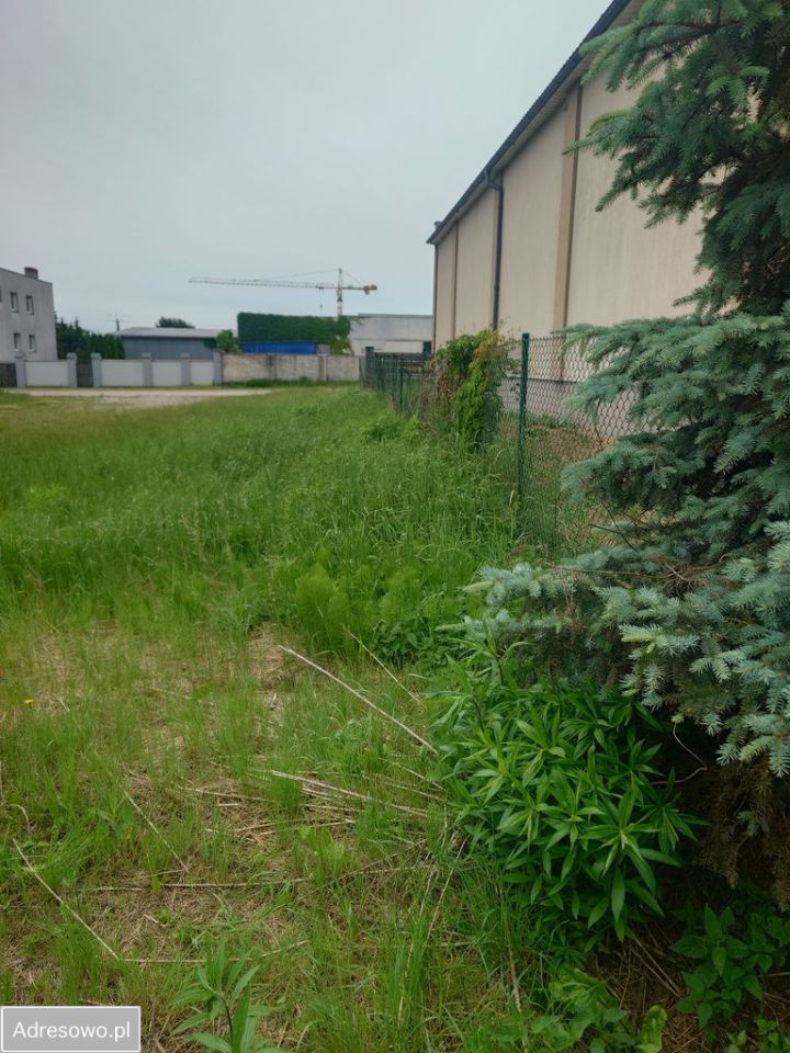 Działka inwestycyjna Luboń Lasek, ul. Topolowa. Zdjęcie 6