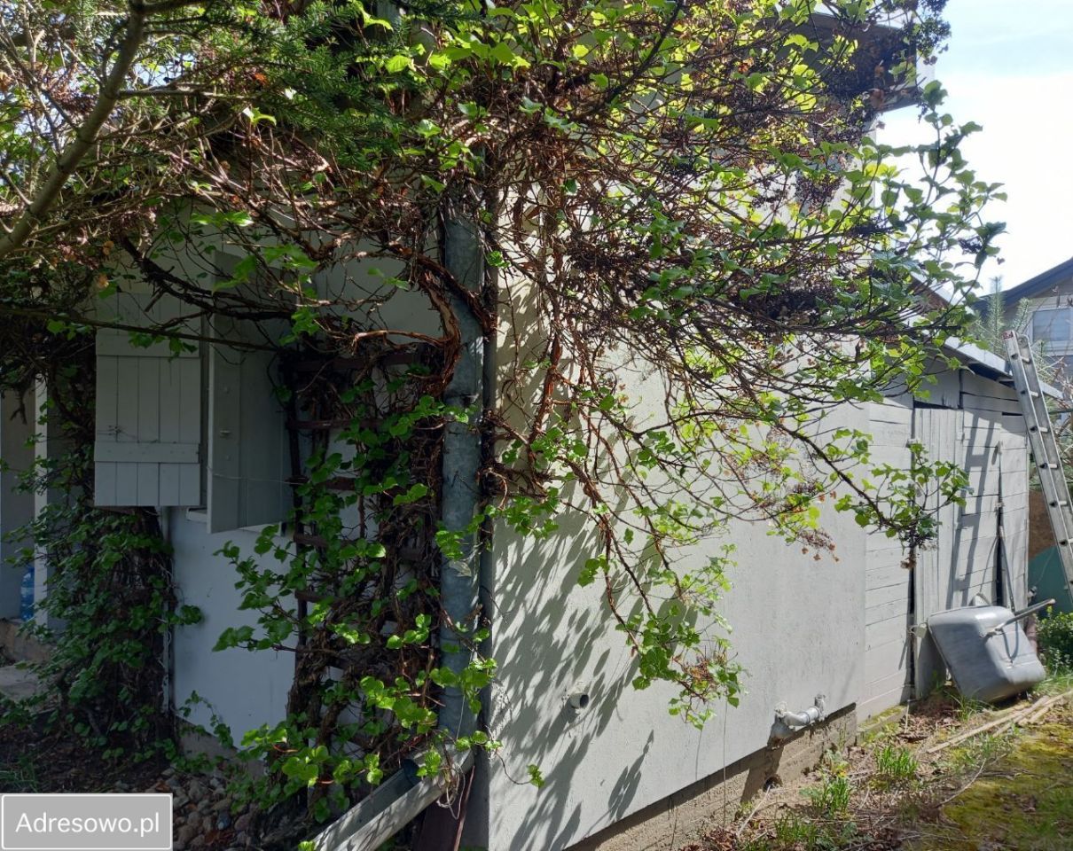 Działka rod Szczaki, ul. Mrokowska. Zdjęcie 11