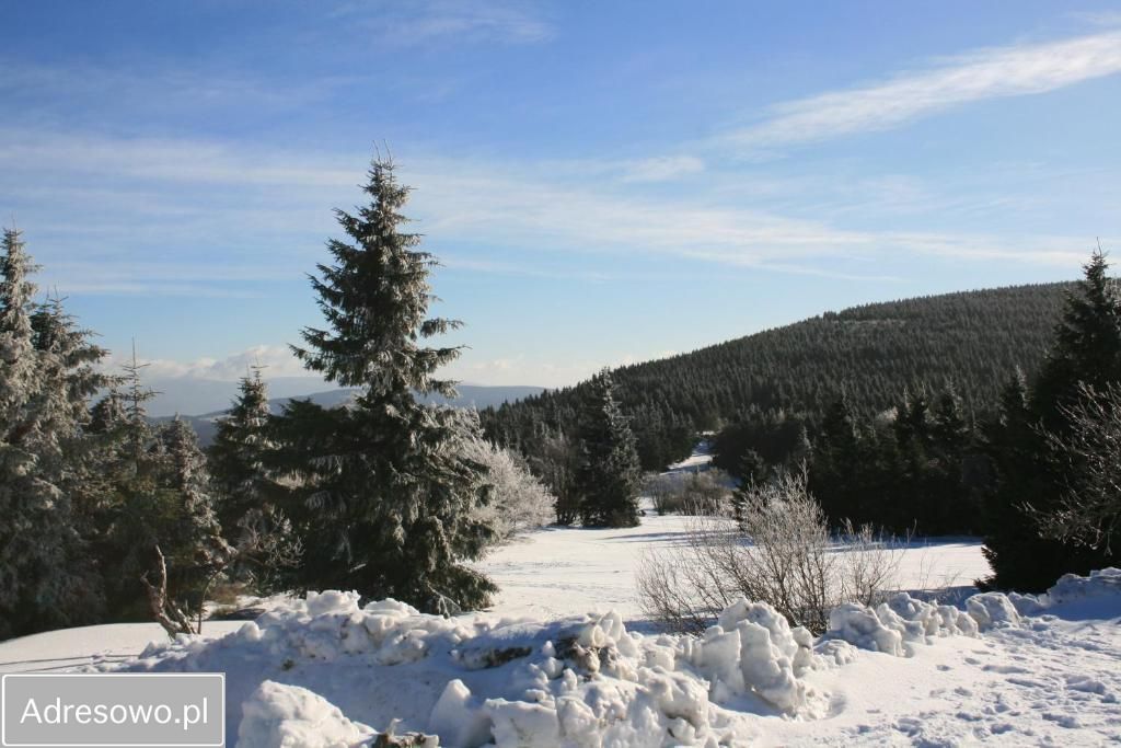 Mieszkanie 3-pokojowe Duszniki-Zdrój, ul. Zdrojowa. Zdjęcie 16