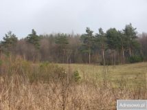 Działka rolna Kąty. Zdjęcie 1