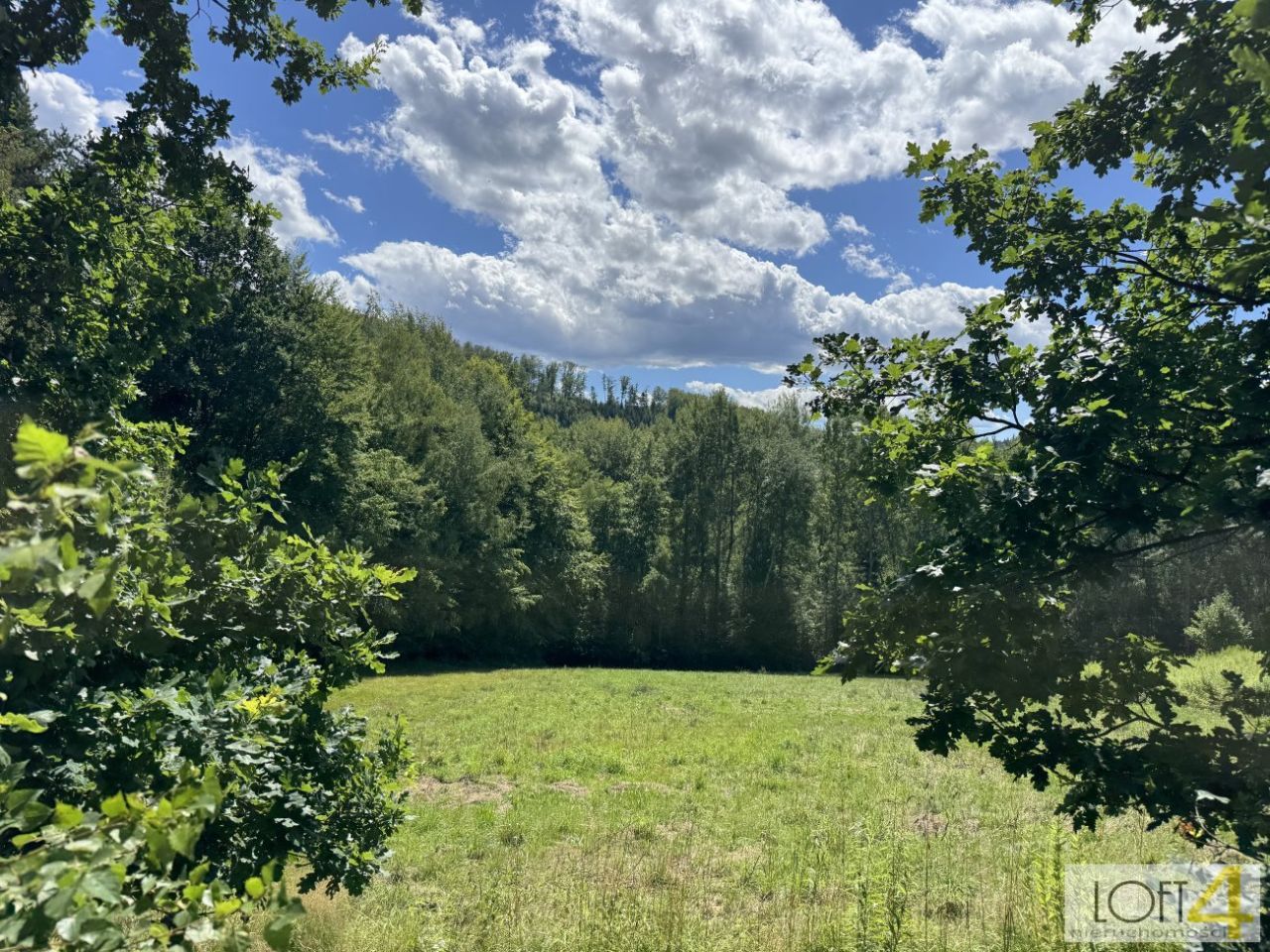 Działka budowlana Paleśnica. Zdjęcie 9