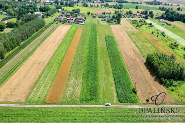 Działka budowlana Kulno. Zdjęcie 2