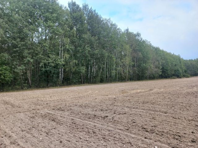 Działka leśna Grodzisk. Zdjęcie 1