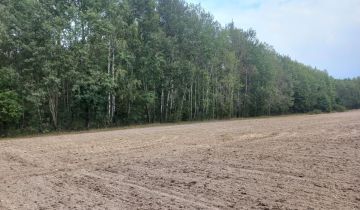 Działka leśna Grodzisk