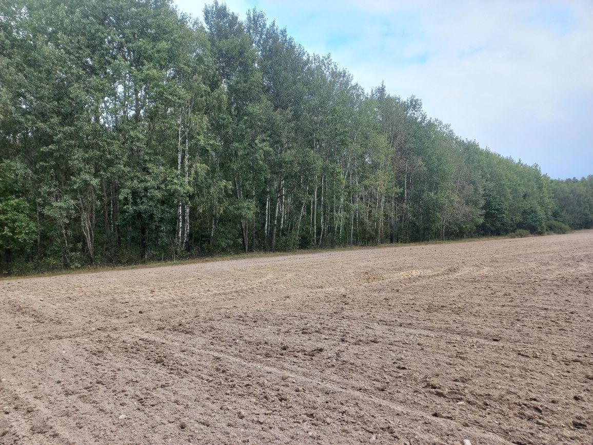 Działka leśna Grodzisk