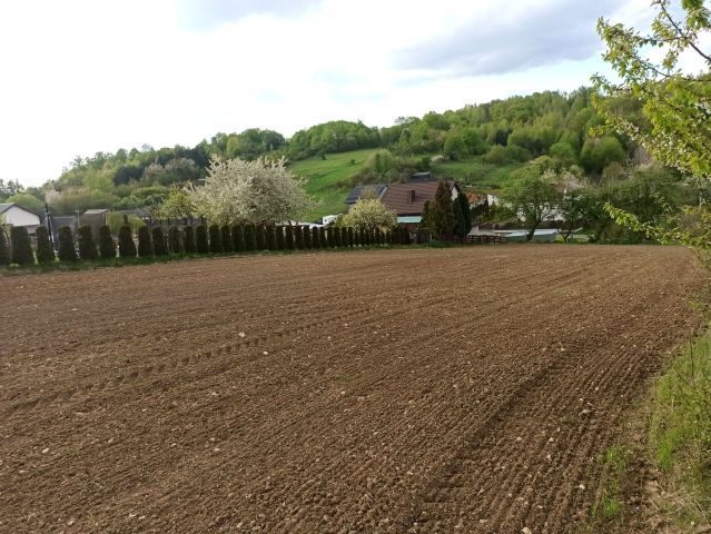 Działka rolno-budowlana Gorzków Stary. Zdjęcie 1