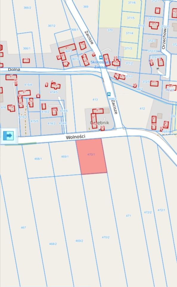 Działka budowlana Skoroszyce. Zdjęcie 1
