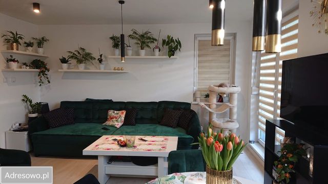 Mieszkanie 3-pokojowe Szczecin Prawobrzeże, ul. Seledynowa. Zdjęcie 1